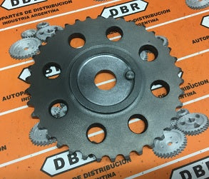 ENGRANAJE ARBOL DE LEVAS FORD KA/FIESTA/ECOSPORT/ 1.0-1.6 DBR182