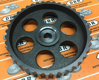 ENGRANAJE ARBOL DE LEVAS RENAULT 19/CLIO/KANGOO/EXPRESS 1.9 DBR253