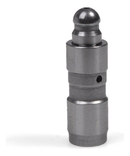 BOTADOR RENAULT CLIO / KANGOO MOTOR K4M/F4P/F4R (12,00 X 39,00) B1891000